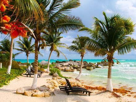 20 Tage Rundreisen Südafrika & Mauritius: Vom Safari-Abenteuer ins Inselparadies Unkategorisiert online kaufen 20 Tage Rundreisen Südafrika & Mauritius: Vom Safari-Abenteuer ins Inselparadies Unkategorisiert online kaufen